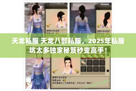 天龙私服 天龙八部私服，2025年私服坑太多独家秘笈秒变高手！