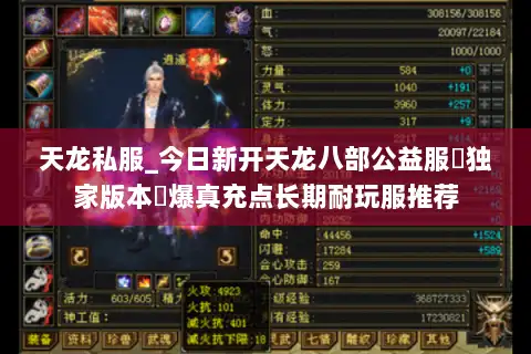 天龙私服_今日新开天龙八部公益服▷独家版本◁爆真充点长期耐玩服推荐