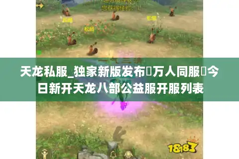 天龙私服_独家新版发布▷万人同服◁今日新开天龙八部公益服开服列表