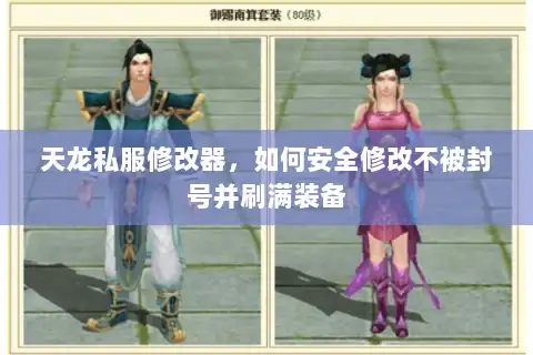 天龙私服修改器，如何安全修改不被封号并刷满装备