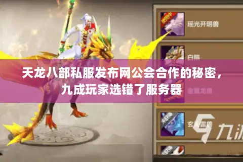 天龙八部私服发布网公会合作的秘密，九成玩家选错了服务器