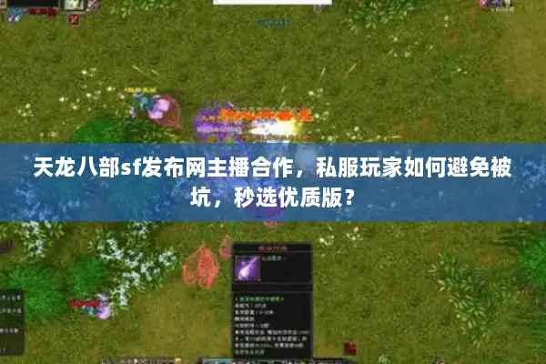 天龙八部sf发布网主播合作，私服玩家如何避免被坑，秒选优质版？