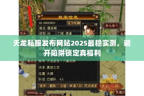 天龙私服发布网站2025最稳实测，避开陷阱锁定真福利