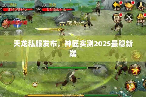 天龙私服发布,神匠实测2025最稳新端 天龙私服发布,神匠实测2025最稳新端