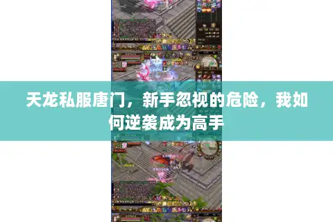 天龙私服唐门，新手忽视的危险，我如何逆袭成为高手