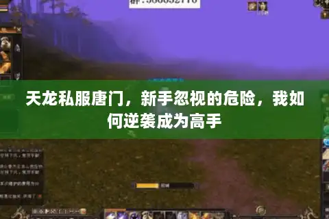 天龙私服唐门，新手忽视的危险，我如何逆袭成为高手