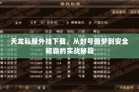 天龙私服外挂下载，从封号噩梦到安全称霸的实战秘籍
