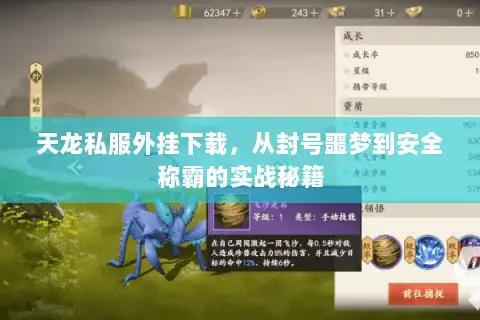 天龙私服外挂下载，从封号噩梦到安全称霸的实战秘籍