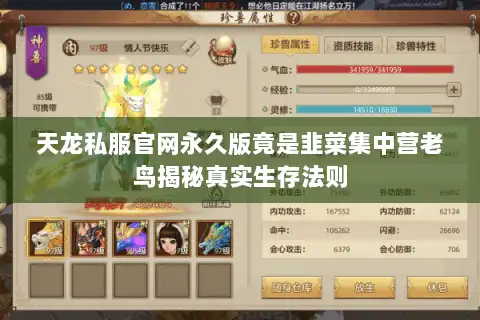 天龙私服官网永久版竟是韭菜集中营老鸟揭秘真实生存法则