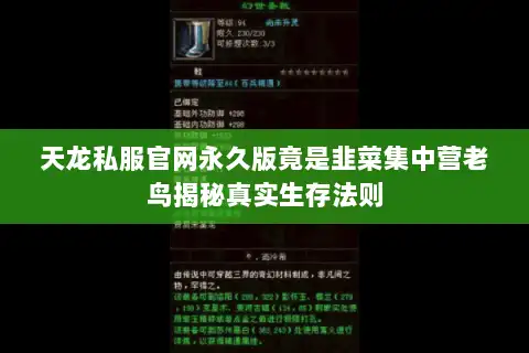 天龙私服官网永久版竟是韭菜集中营老鸟揭秘真实生存法则