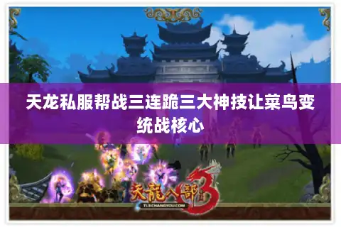 天龙私服帮战三连跪三大神技让菜鸟变统战核心 天龙私服帮战三连跪三大神技让菜鸟变统战核心