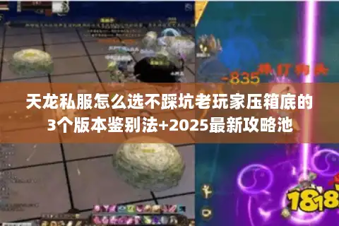 天龙私服怎么选不踩坑老玩家压箱底的3个版本鉴别法+2025最新攻略池