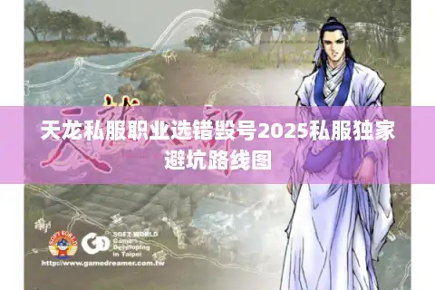 天龙私服职业选错毁号2025私服独家避坑路线图