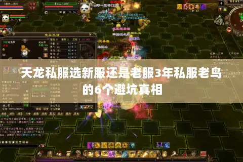 天龙私服选新服还是老服3年私服老鸟的6个避坑真相