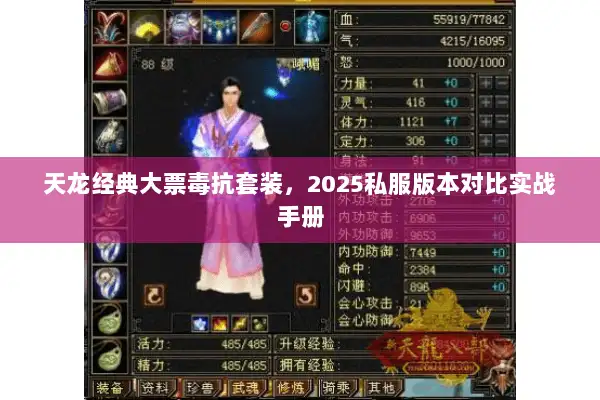 天龙经典大票毒抗套装，2025私服版本对比实战手册