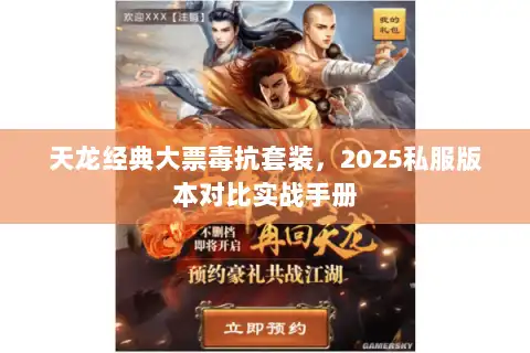 天龙经典大票毒抗套装，2025私服版本对比实战手册