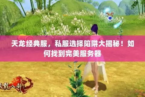 天龙经典服,私服选择陷阱大揭秘!如何找到完美服务器 天龙经典服,私服选择陷阱大揭秘!如何找到完美服务器