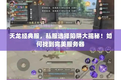 天龙经典服,私服选择陷阱大揭秘!如何找到完美服务器 天龙经典服,私服选择陷阱大揭秘!如何找到完美服务器