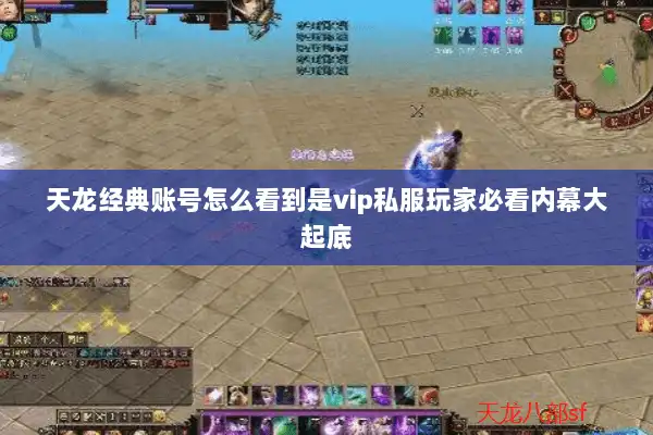 天龙经典账号怎么看到是vip私服玩家必看内幕大起底