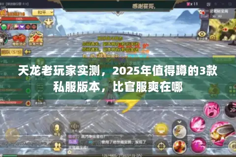 天龙老玩家实测，2025年值得蹲的3款私服版本，比官服爽在哪