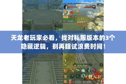天龙老玩家必看，找对私服版本的3个隐藏逻辑，别再瞎试浪费时间！