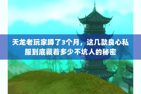 天龙老玩家蹲了3个月，这几款良心私服到底藏着多少不坑人的秘密