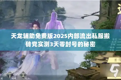 天龙辅助免费版2025内部流出私服搬砖党实测3天零封号的秘密 天龙辅助免费版2025内部流出私服搬砖党实测3天零封号的秘密