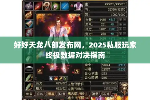 好好天龙八部发布网，2025私服玩家终极数据对决指南