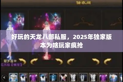 好玩的天龙八部私服，2025年独家版本为啥玩家疯抢