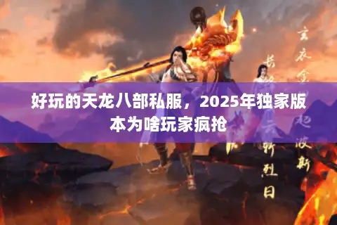 好玩的天龙八部私服，2025年独家版本为啥玩家疯抢