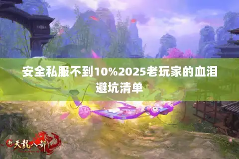 安全私服不到10%2025老玩家的血泪避坑清单