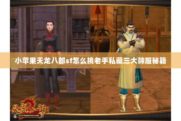 小苹果天龙八部sf怎么挑老手私藏三大筛服秘籍