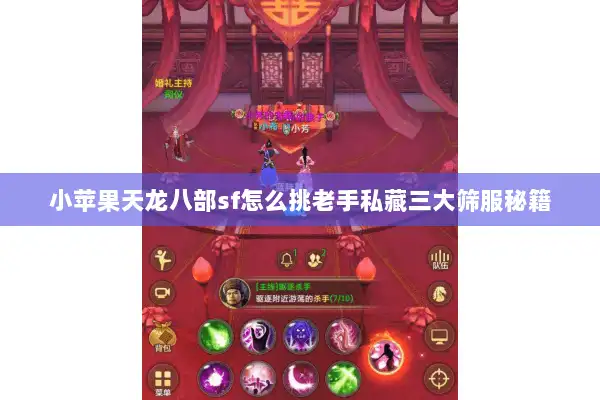 小苹果天龙八部sf怎么挑老手私藏三大筛服秘籍