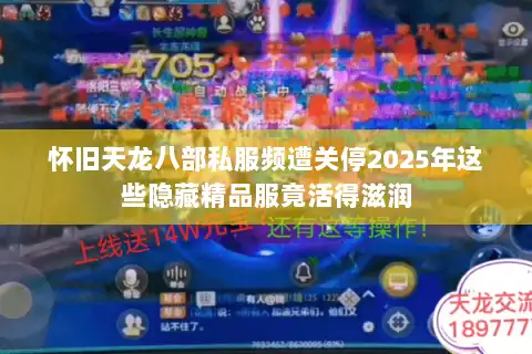怀旧天龙八部私服频遭关停2025年这些隐藏精品服竟活得滋润 怀旧天龙八部私服频遭关停2025年这些隐藏精品服竟活得滋润