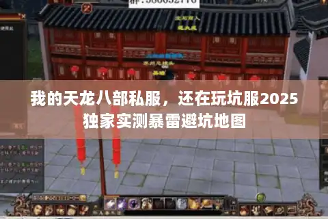 我的天龙八部私服，还在玩坑服2025独家实测暴雷避坑地图