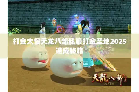 打金太慢天龙八部私服打金圣地2025速成秘籍