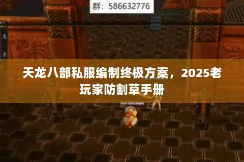 天龙八部私服编制终极方案,2025老玩家防割草手册 天龙八部私服编制终极方案,2025老玩家防割草手册