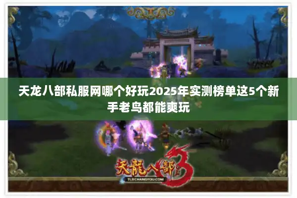 天龙八部私服网哪个好玩2025年实测榜单这5个新手老鸟都能爽玩