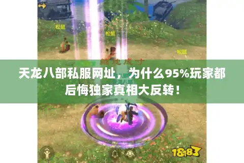 天龙八部私服网址,为什么95%玩家都后悔独家真相大反转! 天龙八部私服网址,为什么95%玩家都后悔独家真相大反转!