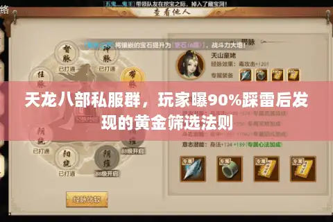 天龙八部私服群,玩家曝90%踩雷后发现的黄金筛选法则 天龙八部私服群,玩家曝90%踩雷后发现的黄金筛选法则