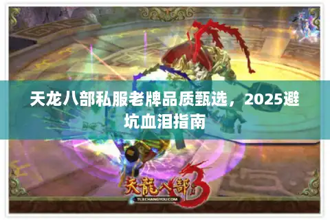 天龙八部私服老牌品质甄选，2025避坑血泪指南