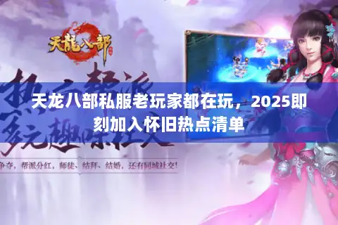 天龙八部私服老玩家都在玩，2025即刻加入怀旧热点清单