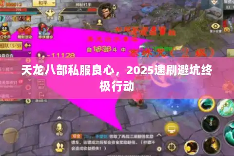 天龙八部私服良心，2025速刷避坑终极行动