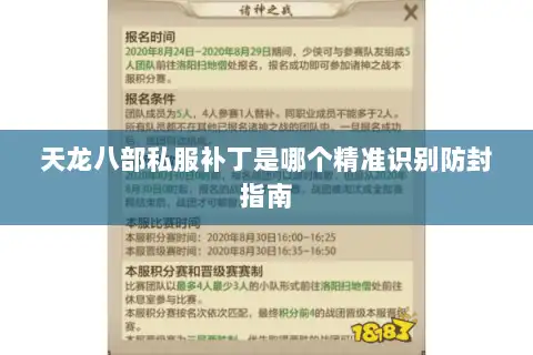 天龙八部私服补丁是哪个精准识别防封指南