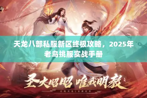 天龙八部私服新区终极攻略,2025年老鸟挑服实战手册 天龙八部私服新区终极攻略,2025年老鸟挑服实战手册