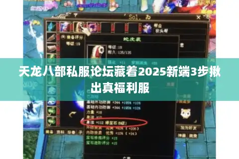 天龙八部私服论坛藏着2025新端3步揪出真福利服