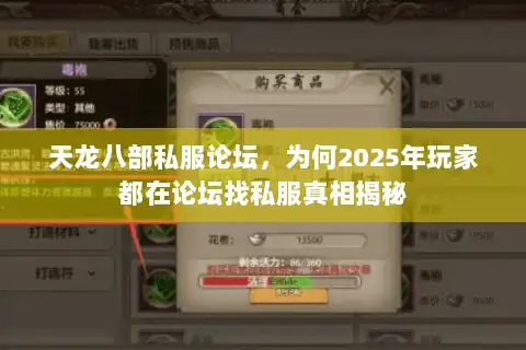 天龙八部私服论坛，为何2025年玩家都在论坛找私服真相揭秘