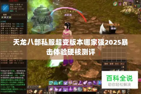 天龙八部私服超变版本哪家强2025暴击体验硬核测评