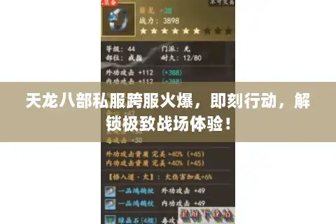 天龙八部私服跨服火爆，即刻行动，解锁极致战场体验！