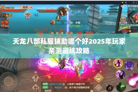 天龙八部私服辅助哪个好2025年玩家亲测避坑攻略
